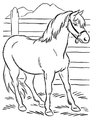 Kolorowanka koń w zagrodzie